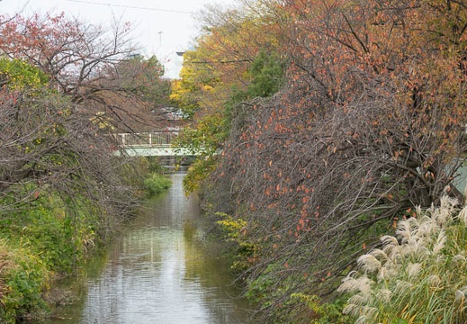 201611171257-DSC08118RX10M3.jpg