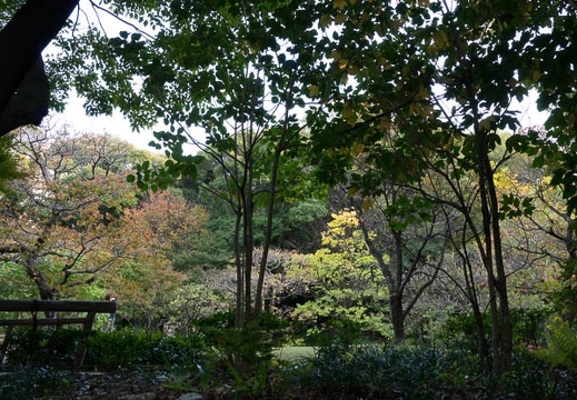 201611171525-DSC08246RX10M3.jpg