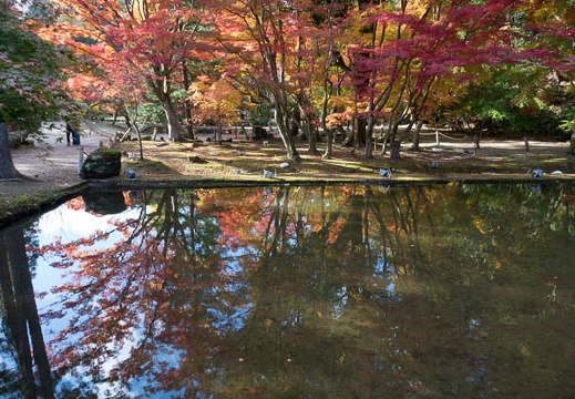 201611181355-DSC08316RX10M3.jpg