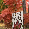 201611181448-DSC08482RX10M3.jpg