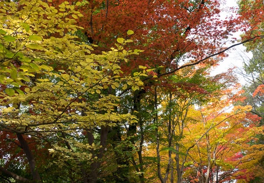 201611201151-DSC08738RX10M3.jpg