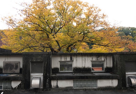 201611201239-DSC08814RX10M3.jpg