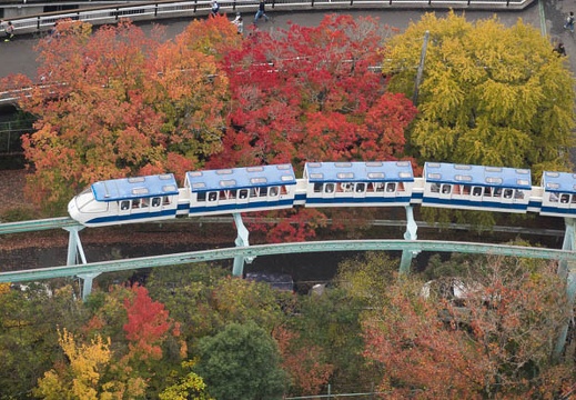 11.20 東山動植物園