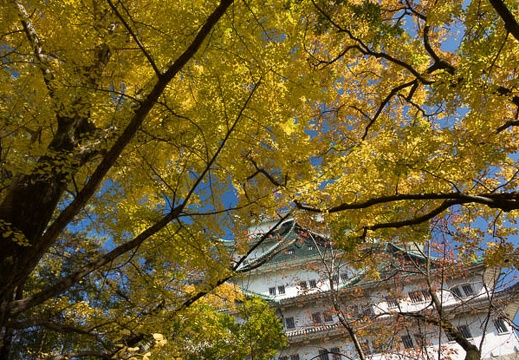 201611231305-DSC09184RX10M3.jpg