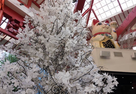 201611241327-DSC09468RX10M3.jpg
