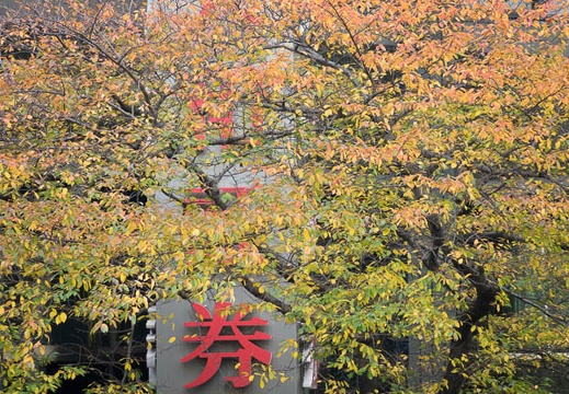 201611241408-DSC09491RX10M3.jpg