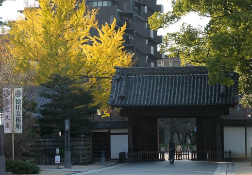 201611241529-DSC09553RX10M3.jpg