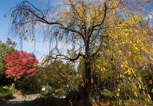 201611251223-DSC09715RX10M3.jpg