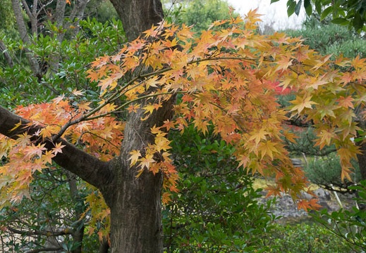 201612011304-DSC00892RX10M3.jpg