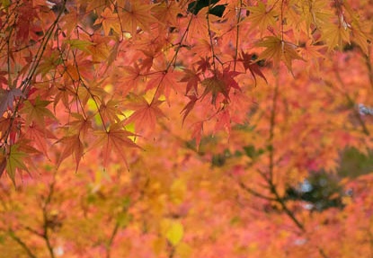 201612011309-DSC00900RX10M3.jpg