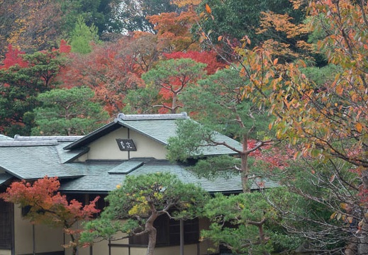 201612011327-DSC00949RX10M3.jpg