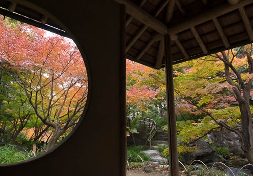 201612011349-DSC01013RX10M3.jpg