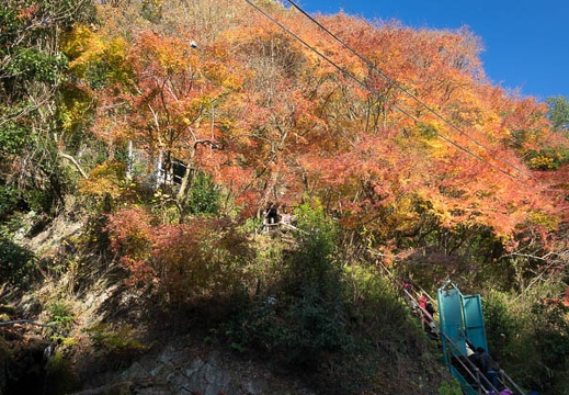 201612021003-DSC01163RX10M3.jpg