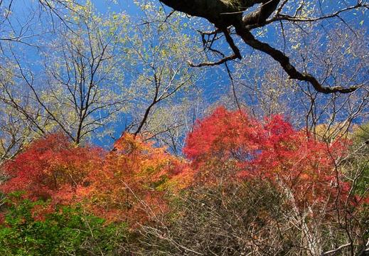 201612021042-DSC01272RX10M3.jpg