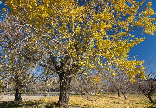 201612031216-DSC01608RX10M3.jpg