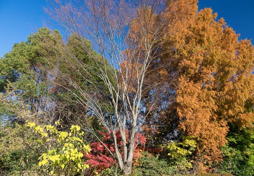 201612031331-DSC01719RX10M3.jpg