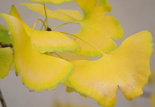 201612041013-DSC01791RX10M3.jpg