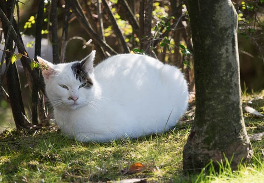 201612051103-DSC02315RX10M3.jpg