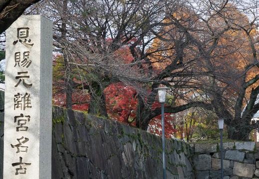 201612051408-DSC02431RX10M3.jpg