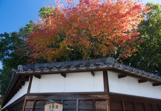 201612061308-DSC02599RX10M3.jpg