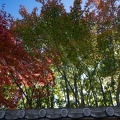 201612061310-DSC02604RX10M3.jpg