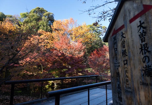 201612061322-DSC02650RX10M3.jpg