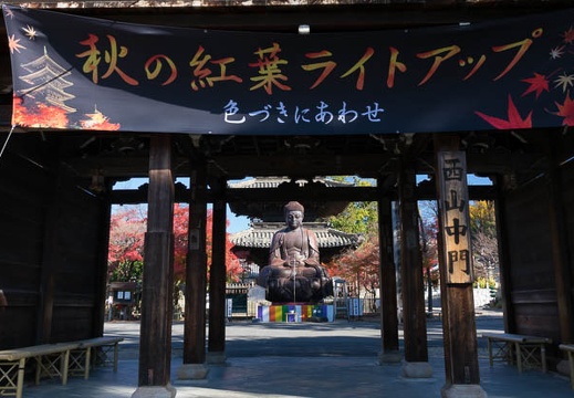201612081023-DSC02944RX10M3.jpg