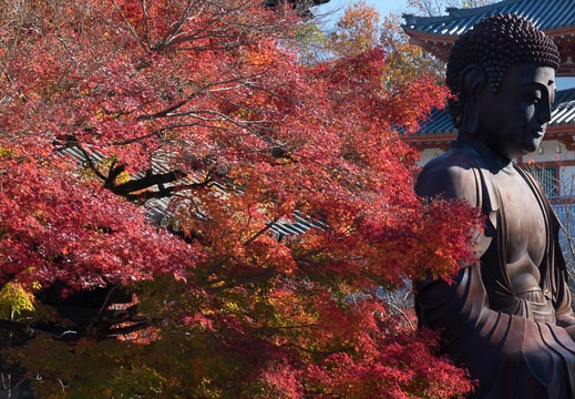 201612081033-DSC02965RX10M3.jpg