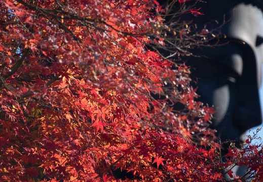 201612081034-DSC02969RX10M3.jpg