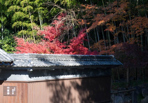 201612081119-DSC03099RX10M3.jpg