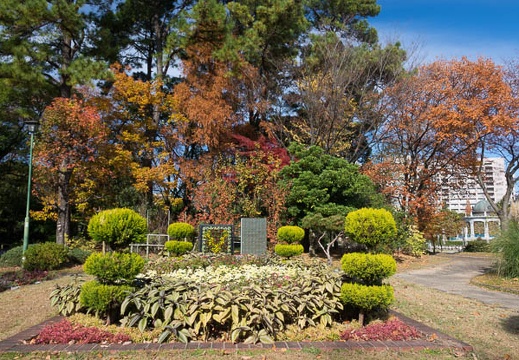 201612081241-DSC03135RX10M3.jpg