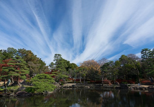 201612081250-DSC03150RX10M3.jpg
