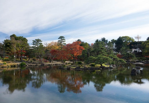 201612081254-DSC03163RX10M3.jpg