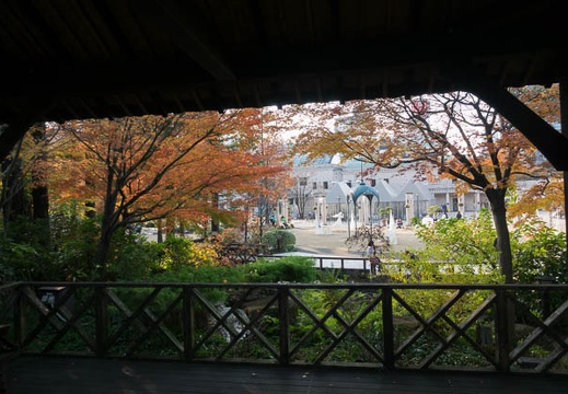 201612091430-DSC03375RX10M3.jpg