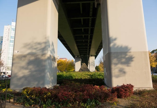 201612091456-DSC03427RX10M3.jpg