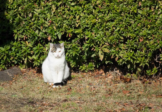 201612141048-DSC03916RX10M3.jpg