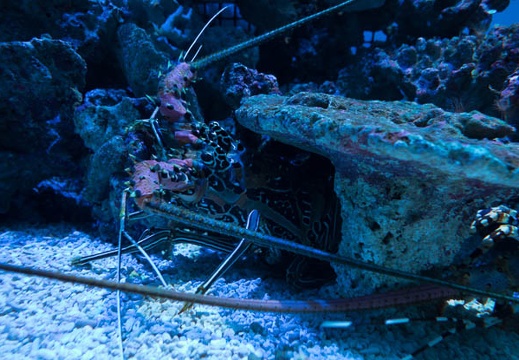 201612141226-DSC04106RX10M3.jpg