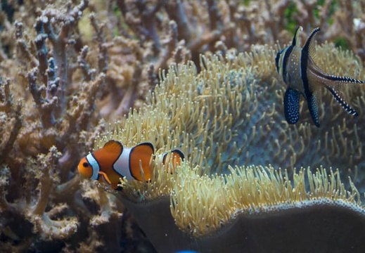 201612141233-DSC04138RX10M3.jpg