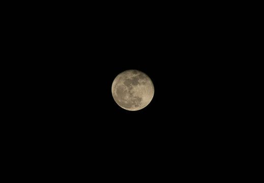 201612152019-DSC04489RX10M3.jpg