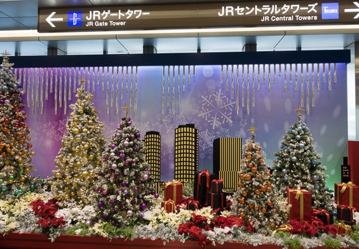 201612161243-DSC04516RX10M3.jpg