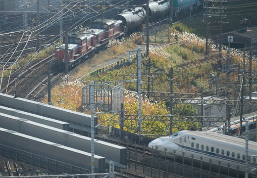 201612161248-DSC04530RX10M3.jpg