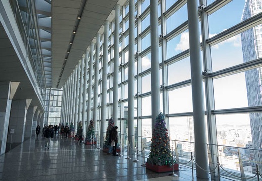 201612161250-DSC04535RX10M3.jpg