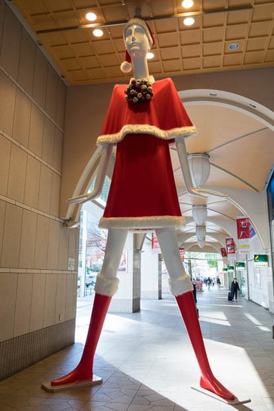 201612161346-DSC04617RX10M3.jpg