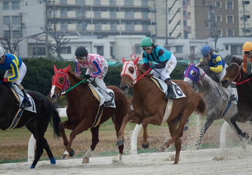 201612201201-DSC06175RX10M3.jpg