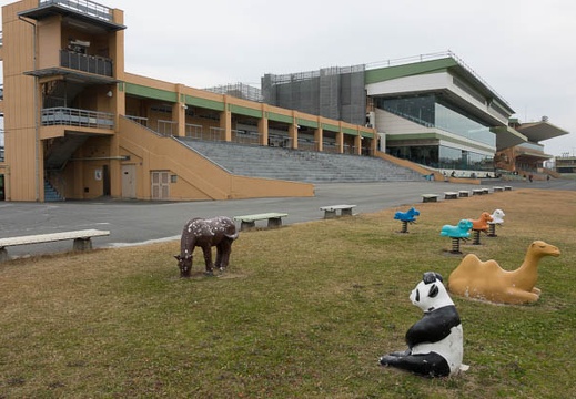 201612201216-DSC06198RX10M3.jpg