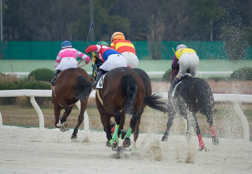 201612201232-DSC06218RX10M3.jpg