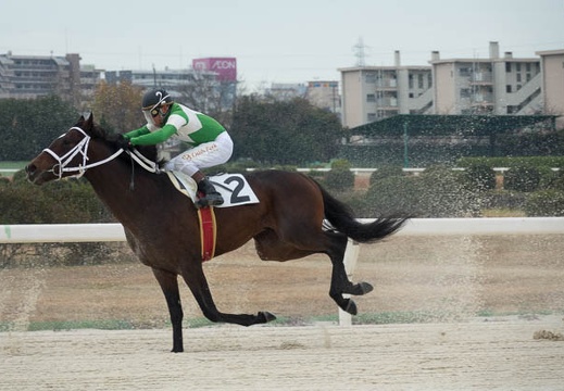 201612201302-DSC06237RX10M3.jpg