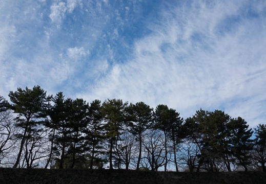 201612291151-DSC06721RX10M3.jpg