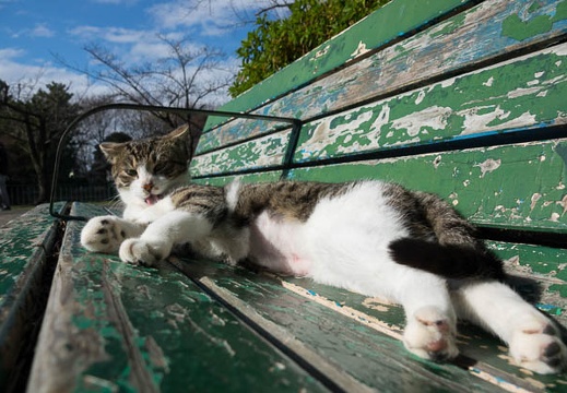 201612291242-DSC06818RX10M3.jpg