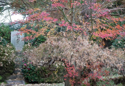 201612291434-DSC06931RX10M3.jpg